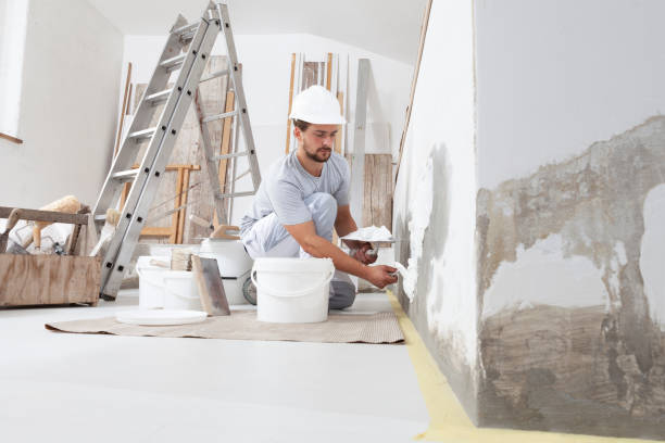 Best Drywall Texturing  in Tower Lakes, IL