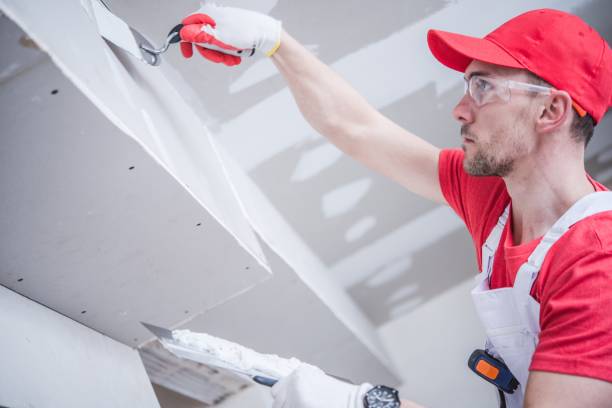 Best Commercial Painting  in Tower Lakes, IL